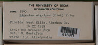 Image Associated With the Occurence